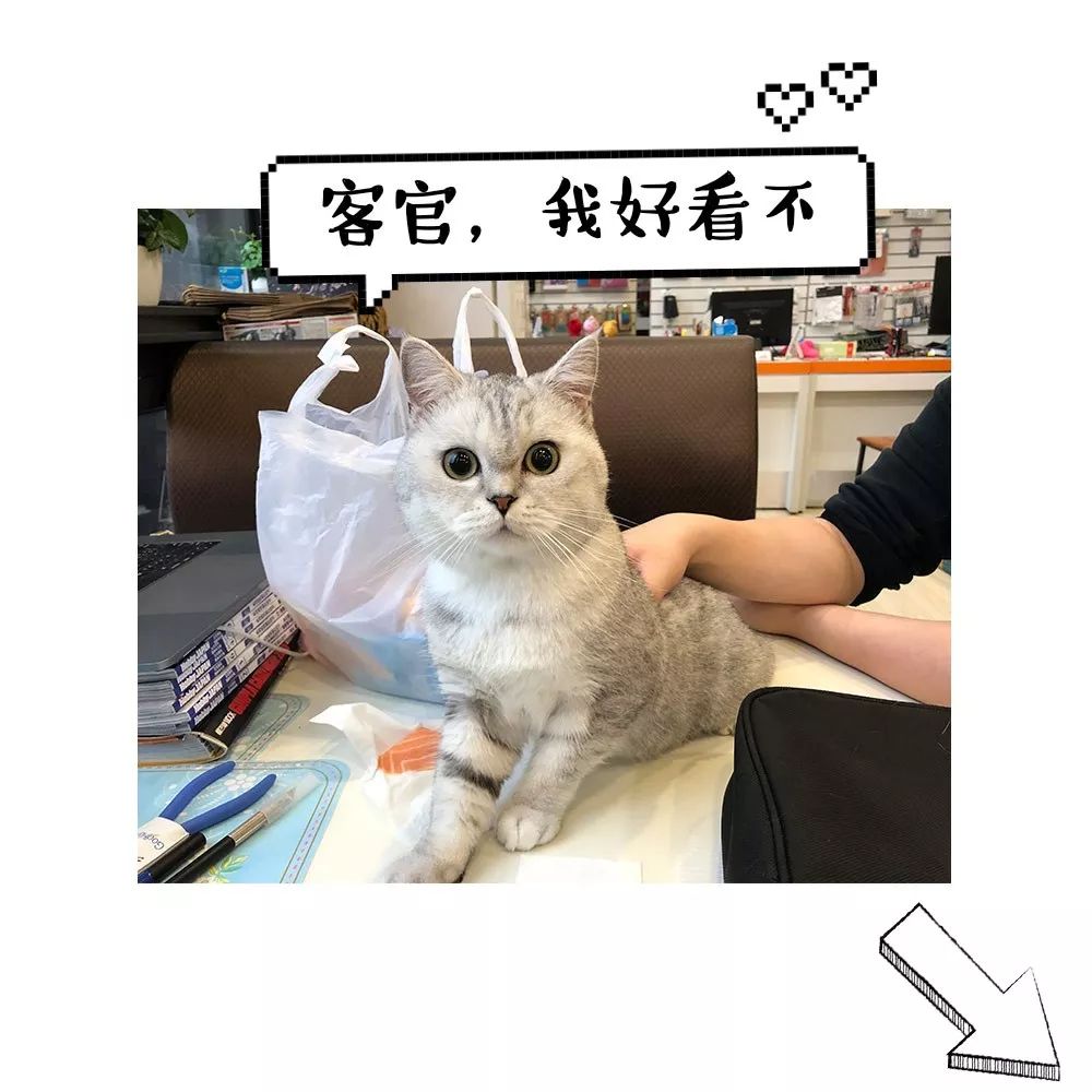 凯普强殖装甲巨神殖装,p1s强殖装甲凯普手办