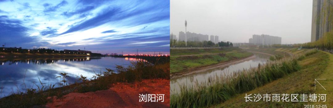 我是黎托，梦想直达雨花，幸福“黎”你很近！