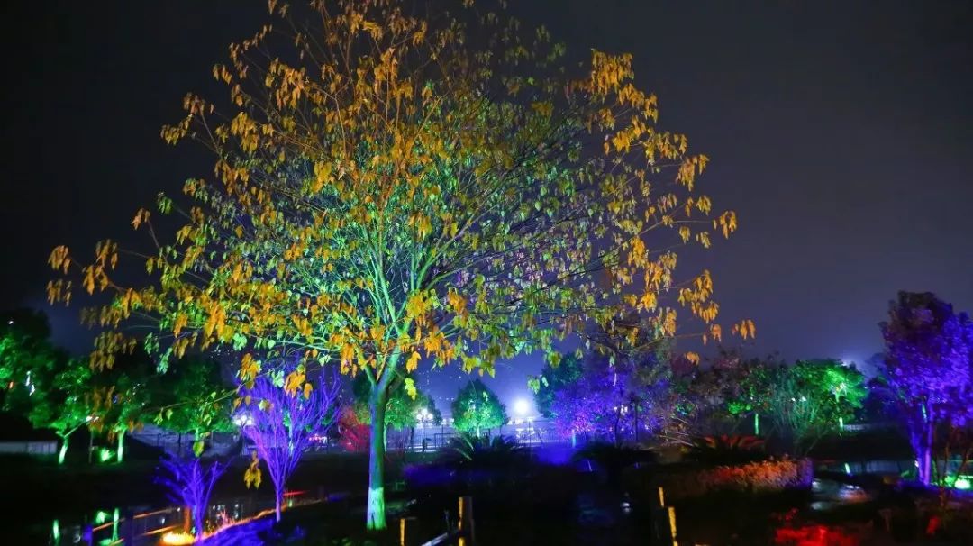 请给我来一碗“江工专属腊八粥”