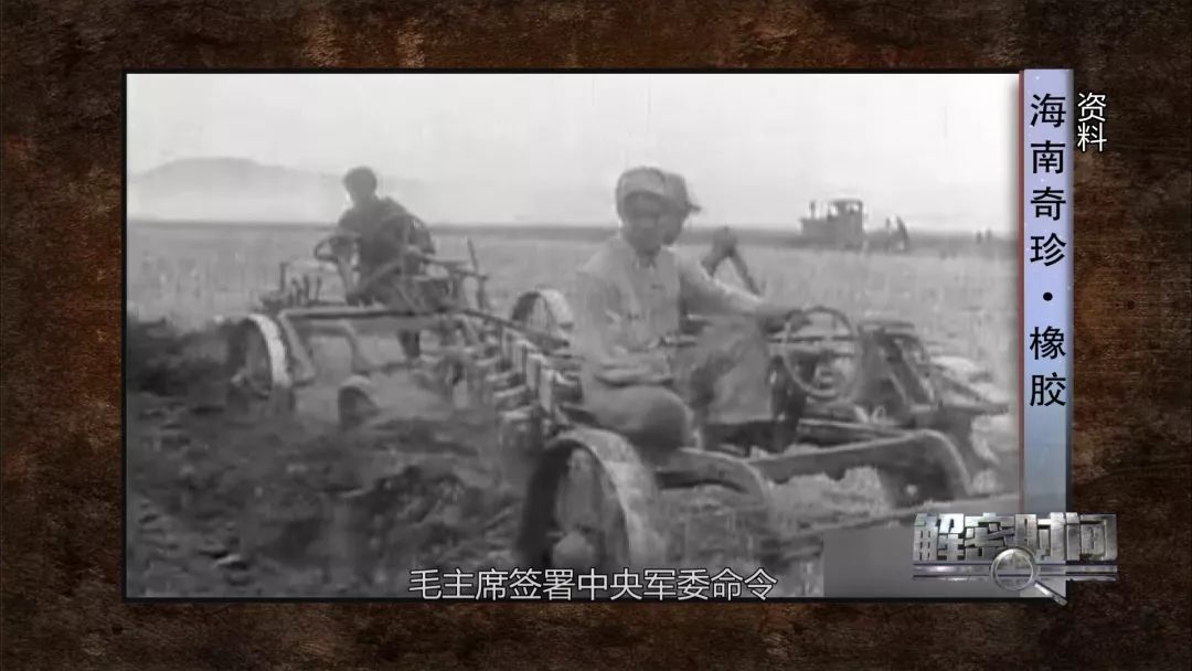 橡胶和石油的故事后续,海南橡胶和海南农垦的关系