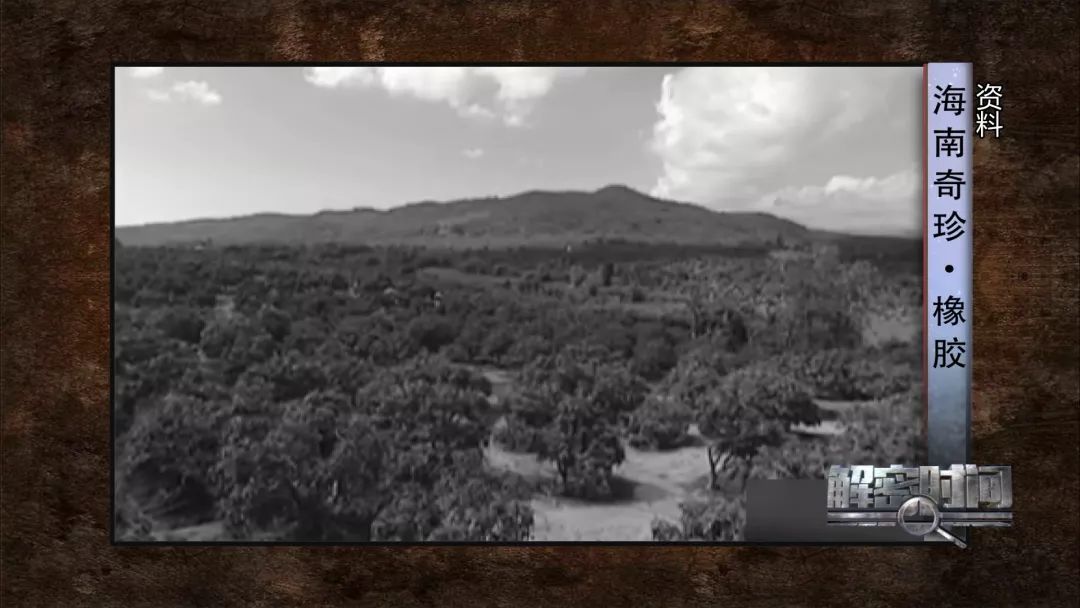 橡胶和石油的故事后续,海南橡胶和海南农垦的关系