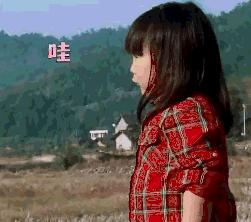 肥东二中喜报2020,2020肥东二中喜报