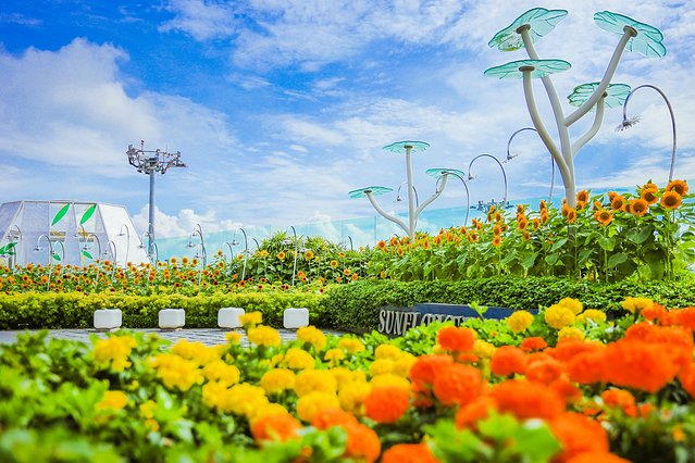 樟宜机场出境攻略,樟宜机场游玩攻略