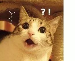 日本网红眼药水成祸害,日本网红眼药水真的有用吗