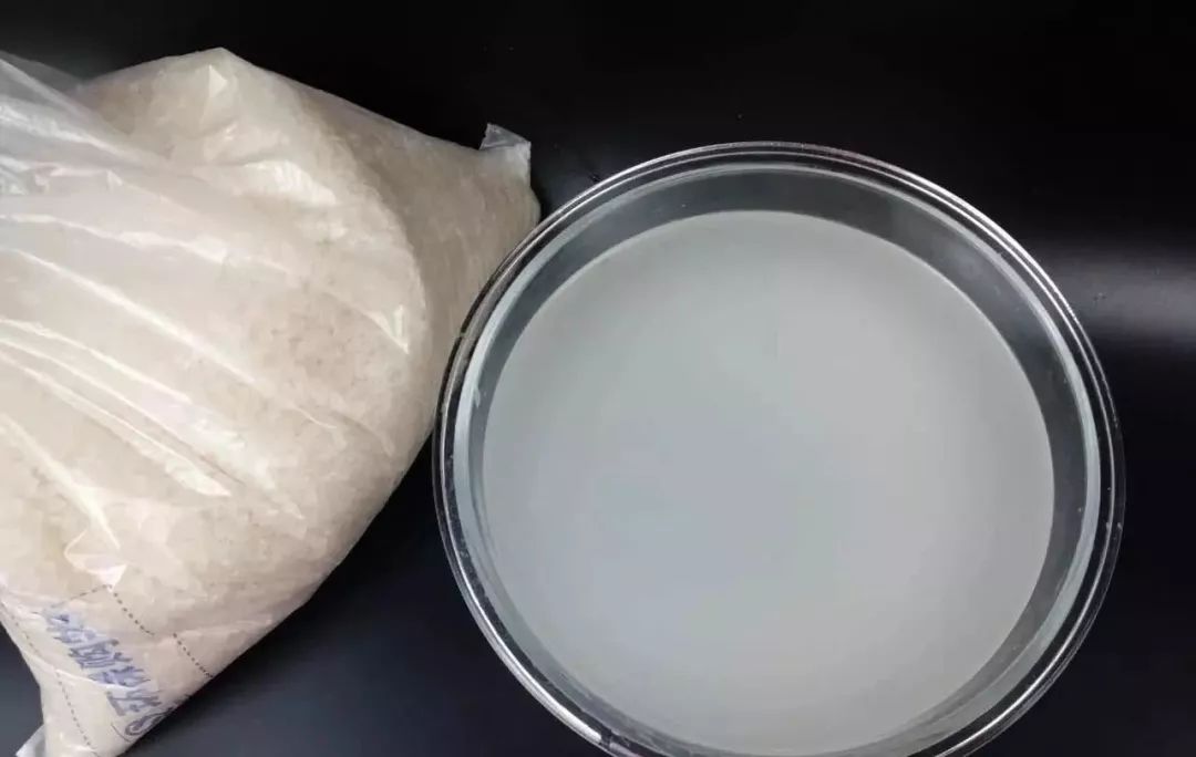 1个洋葱丢盆里，花朵砰砰开，一下能变2个头，省钱了！