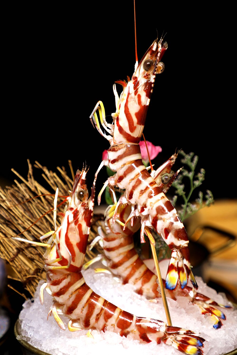 香港海鲜花胶鸡,香港花胶鸡推荐