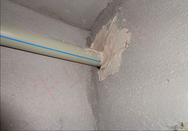 房间里进了老鼠什么办法抓最好,住高层老鼠怎么消灭