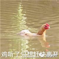 在鸡头装摄像头当稳定器,给鸡头安摄像头