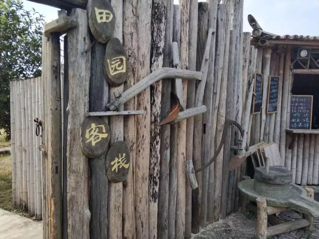 200亩，游客年超30万！这个用枯树建成的农庄，为啥这么牛？