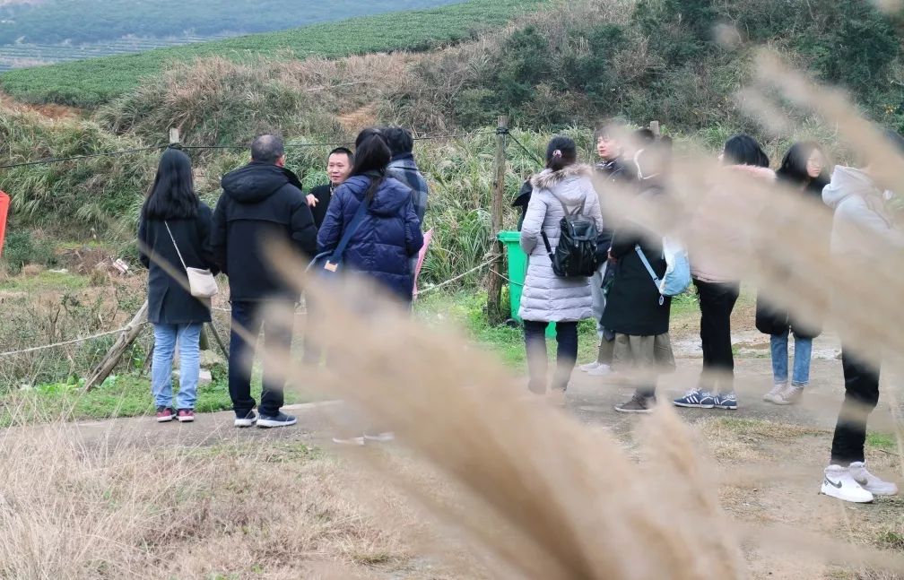 嵛山岛清华大学,清华建筑系岛屿少年
