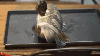 渔家女朋友圈直播,渔家女海鲜直播