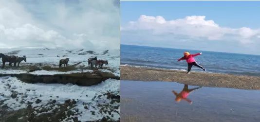 「小风伶杯作文赛」一等奖、二等奖文章展示