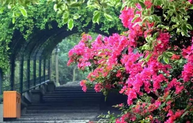 火速收藏!冬*你日**想要的阳光、骑行、美食美景都在这儿~