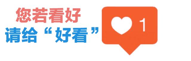 八闽骄傲!福州三中钟子谦以总分第一战绩入选信息奥赛国家队……