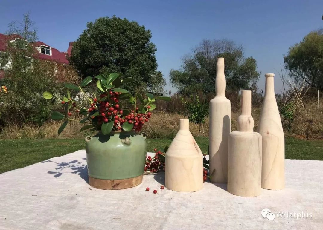 武汉东湖小白民宿,武汉森林玻璃房民宿