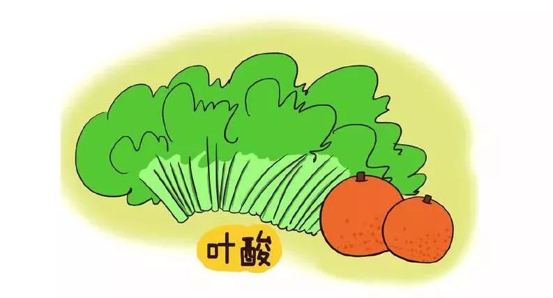 备孕叶酸怎么选看这里,备孕叶酸指南