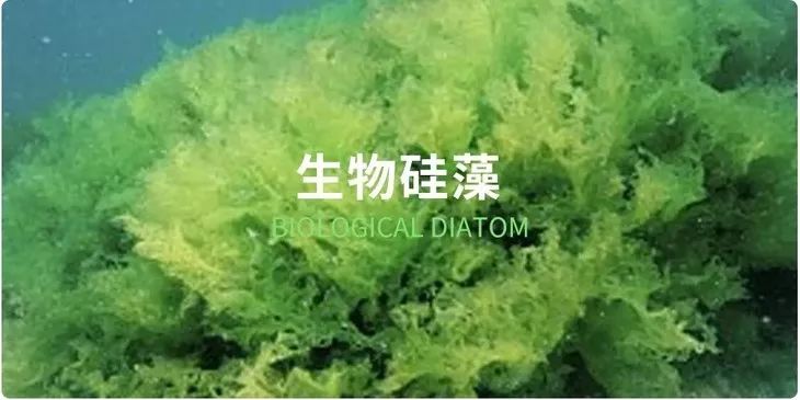 这颗小白球，居然彻底治愈了我的脚臭，日本家庭必备的除臭杀菌神物，三分钟还你一个清新的“脚气”！