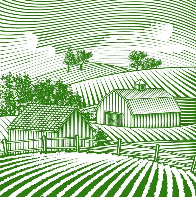 来西双版纳，做大自然的学生|雅居乐·西双林语夏令营开始报名啦