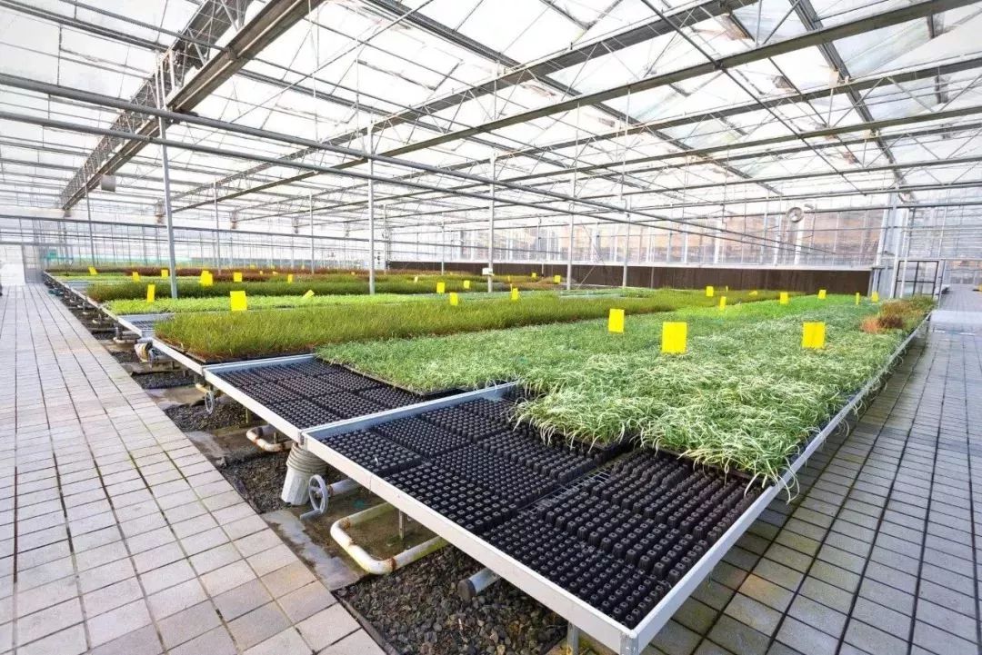 重庆农业科技创新政策,重庆市农业项目立项公示名单