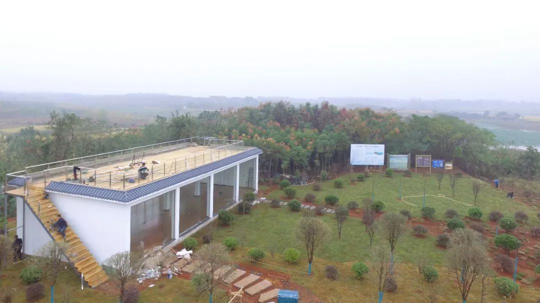 武汉竹叶海湖生态湿地公园,武汉东湖绿道湿地公园