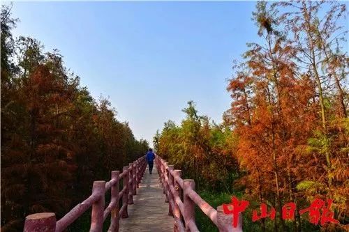 中山十大免费公园,中山最美的免费公园