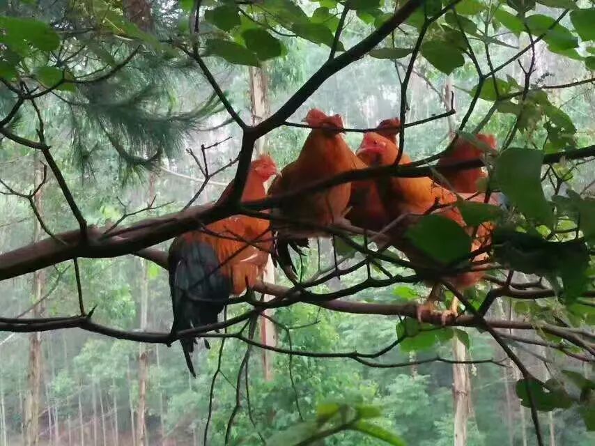 「招聘」2月12日横县大型招聘会，100家单位提供7689个岗位，优秀的你千万不要错过！