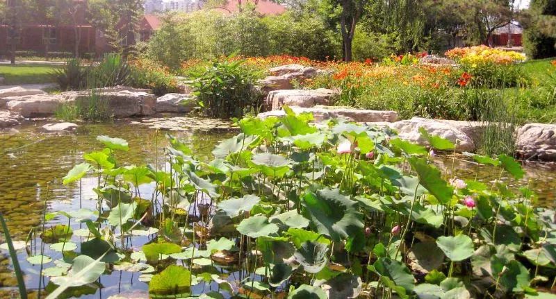 北京好玩免费的景点排名榜,北京有哪些免费的旅游景点