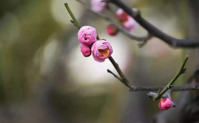 春节假期没嗨够怎么办？又一大波美轮美奂的景点等着你！乘公交直达