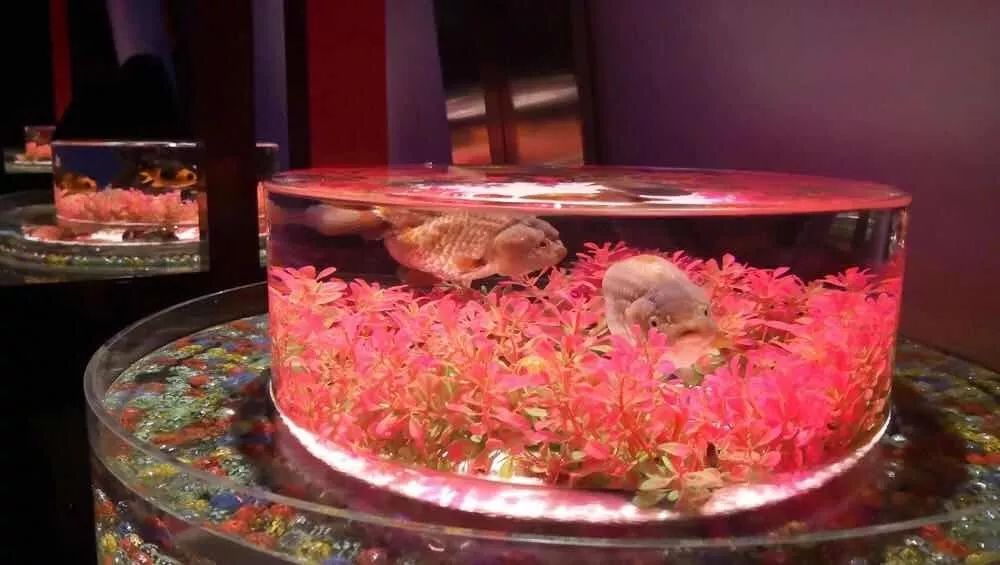 春节假期没嗨够怎么办?又一大波美轮美奂的景点等着你!乘公交直达