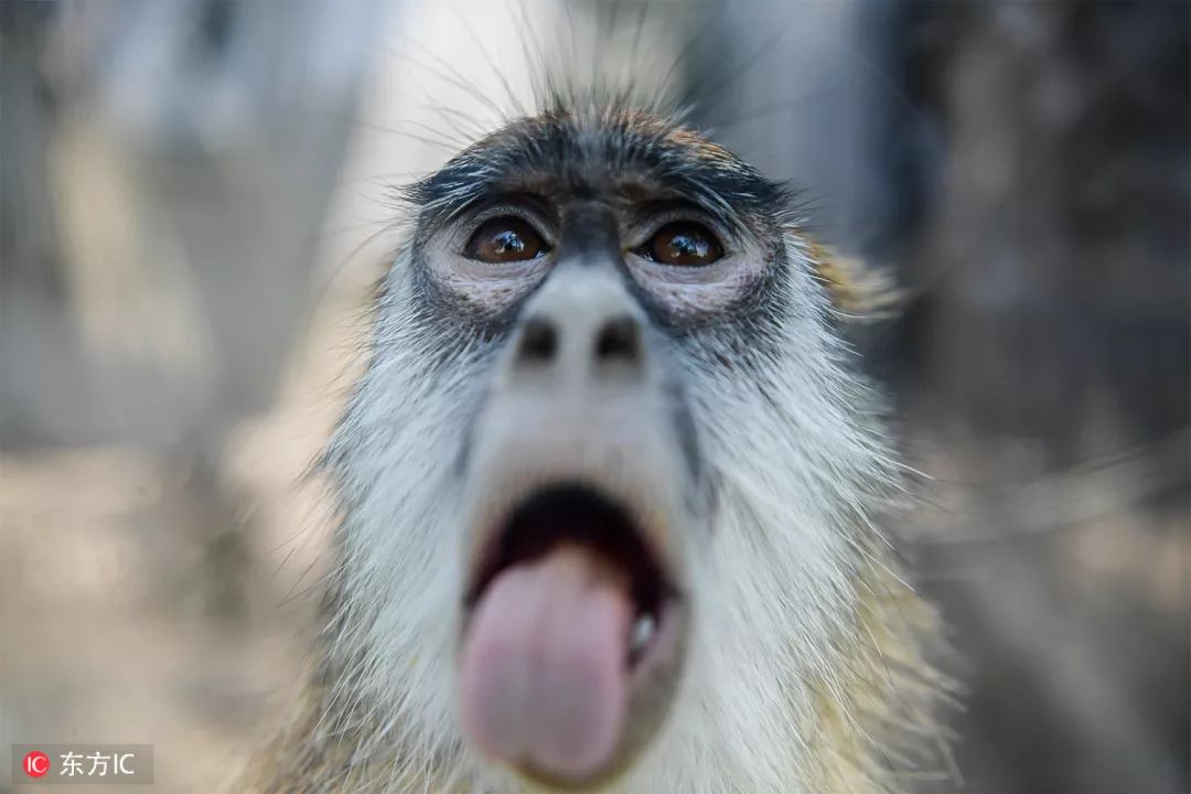 钟振彬:在俄罗斯,我真的拼了命|东方IC摄影师自选辑