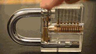 这些图一直看一直爽！原来平凡生活中藏着这么多奇迹……