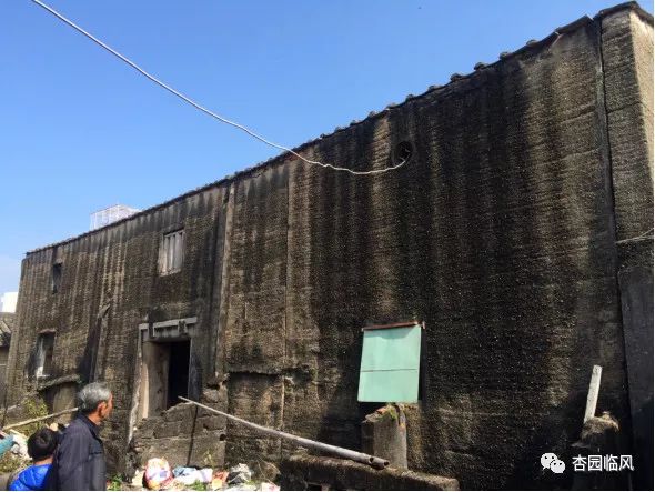 惊呆｜上华某村这块不起眼的“木头”，曾被用来搭鸡窝，结果发现竟是……