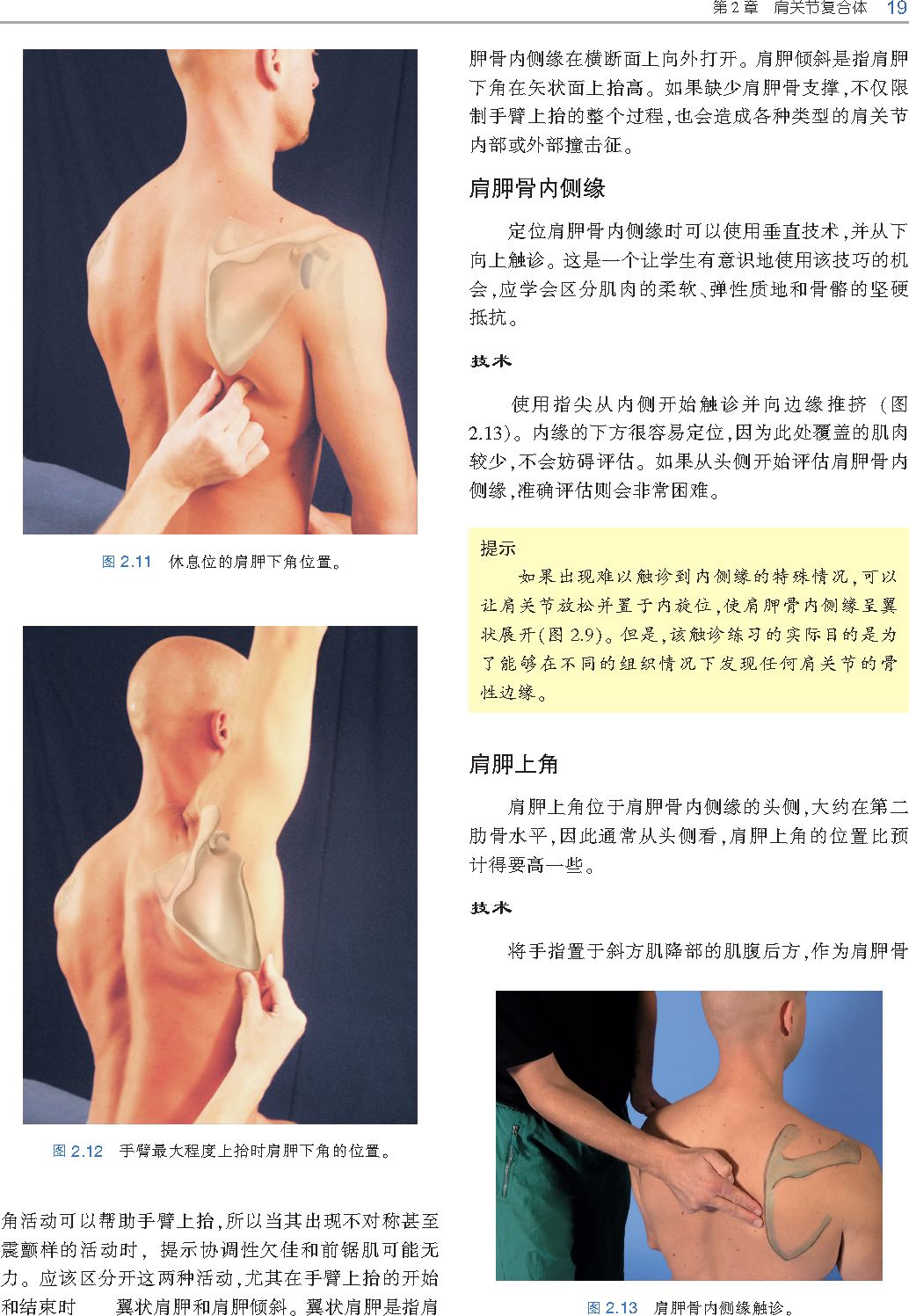 好书推荐｜《触诊技术》——李哲人体科学团队——开年首发