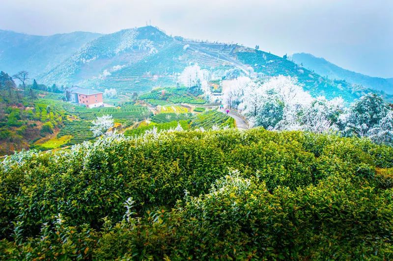 这里是里山！（内含福利）