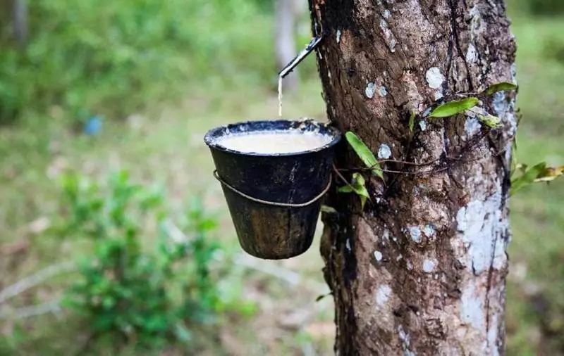 遇事沉着冷静是一种智慧,冷静是一种智慧
