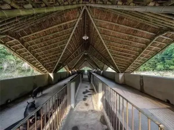 乡村改造方法盘点,全国美丽乡村改造案例