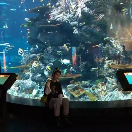 假期旅拍,假期结束后旅拍照片怎么发