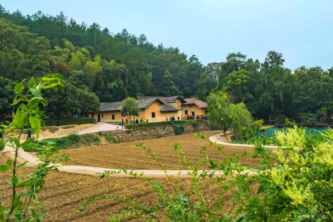 2780元起！空调专列纯玩港珠澳，全程0购物，万元大奖等你拿