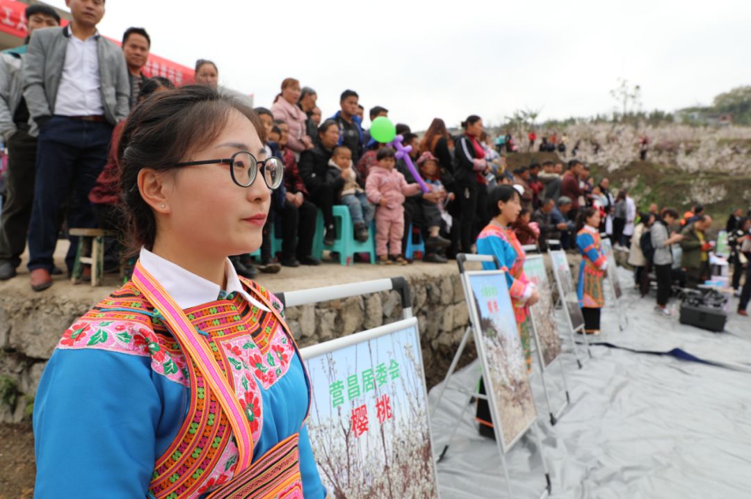 发耳镇樱桃花航拍视频出炉！敢不敢来行一场飞花令？开始！
