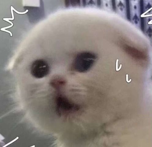 网红魔鬼减肥瘦身法,这些害人的网红减肥法你尝试过吗