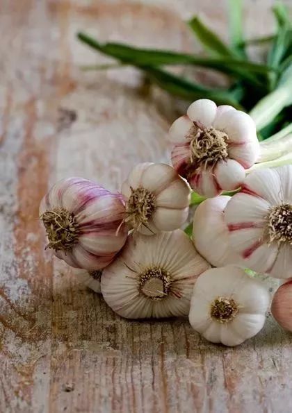 油桶问题用5种方法解决,空油桶的使用方法图