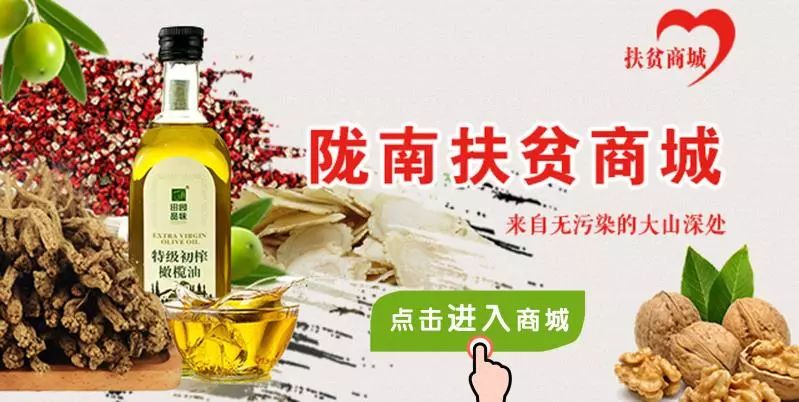 陇南查处一起销售“麻辣”小食品行为