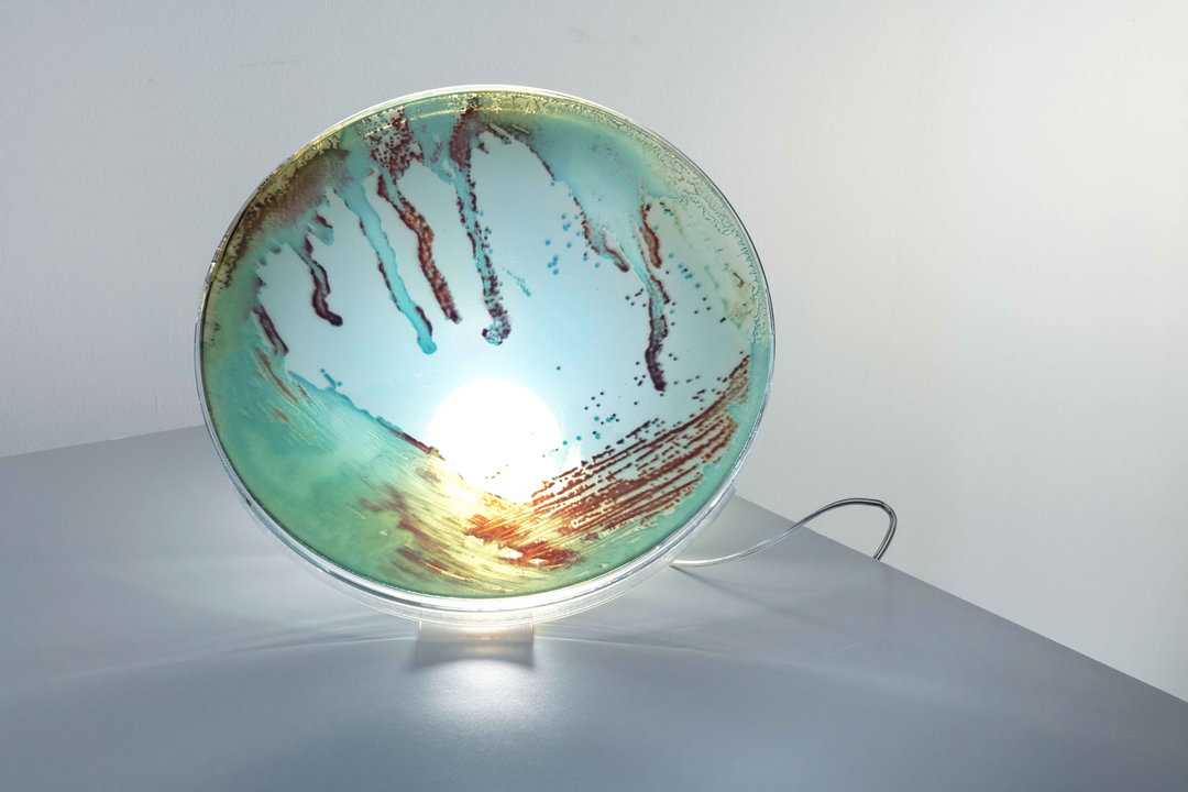 雷克萨斯联名款,雷克萨斯耐克