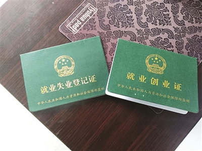 公共就业服务能力提升示范城市,市就业局公益性岗位工资