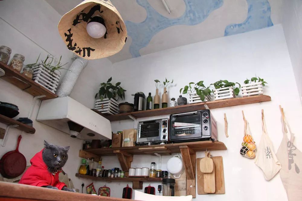 出租屋改造捡破烂,靠捡废品装修