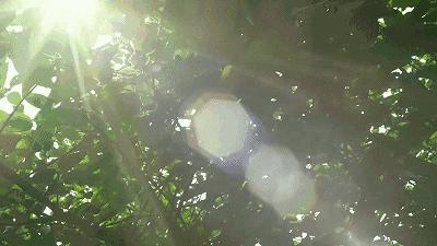 2019年，谁不想做一个像闫妮那样精致的猪猪女孩呢？（文末有大福利！100-200购物卡送给你~）