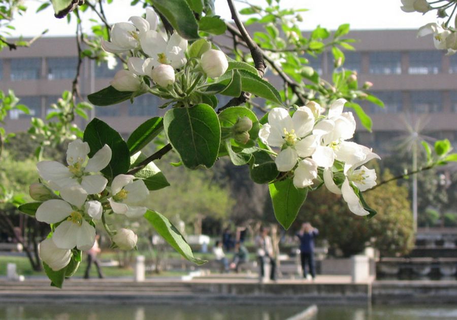 「休闲驿站201910期」沈前祥·诗歌‖高个儿的大山(外一首)