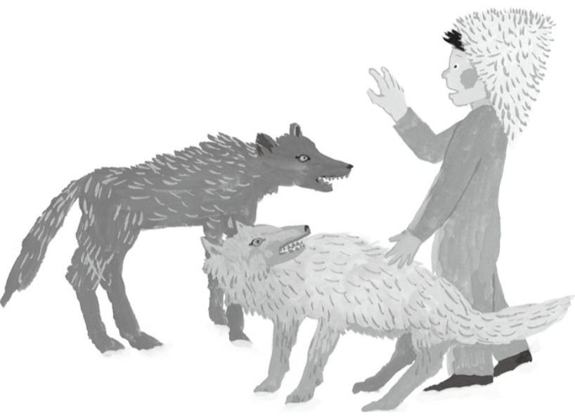 比起说教和大道理，我更想给你自由的灵魂丨宫崎骏都喜欢的童话作品《宫泽贤治小森林童话》