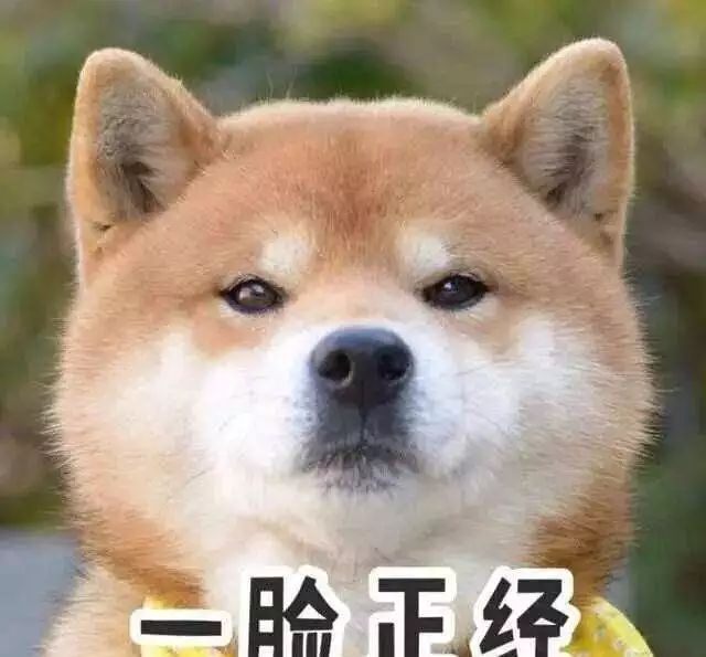 春节前为什么回南天,新年第一问