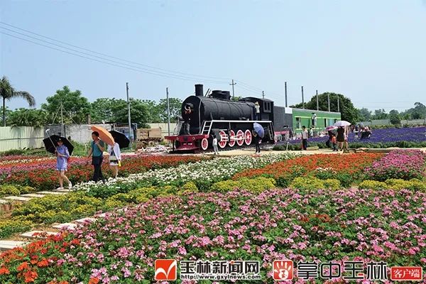 一季度玉林县市区经济成绩单,玉林市2019年经济数据